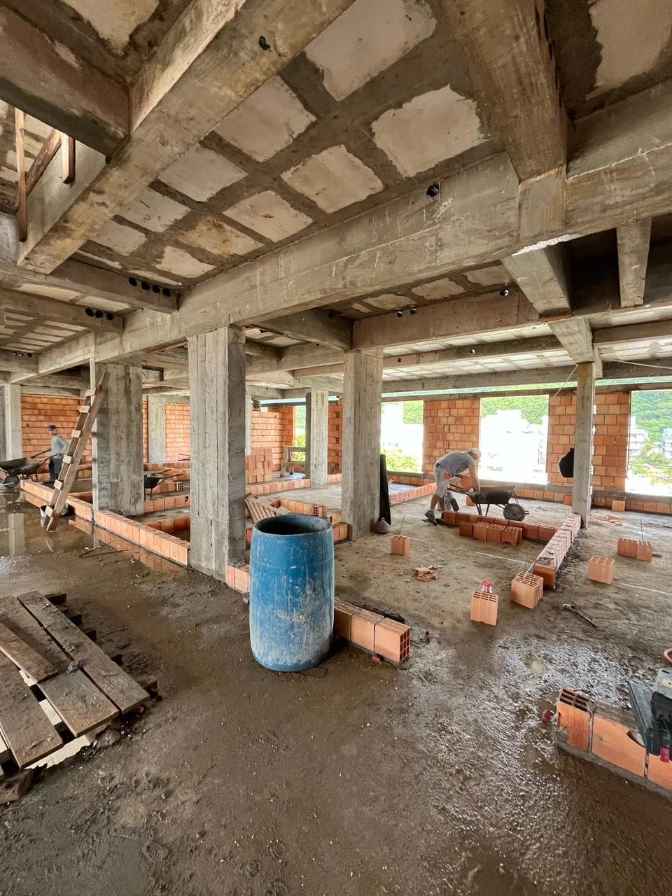 Gralha Azul Março/2024