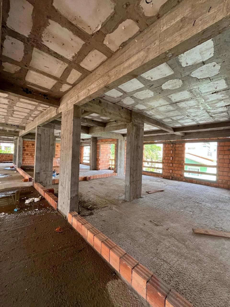 Gralha Azul Março/2024