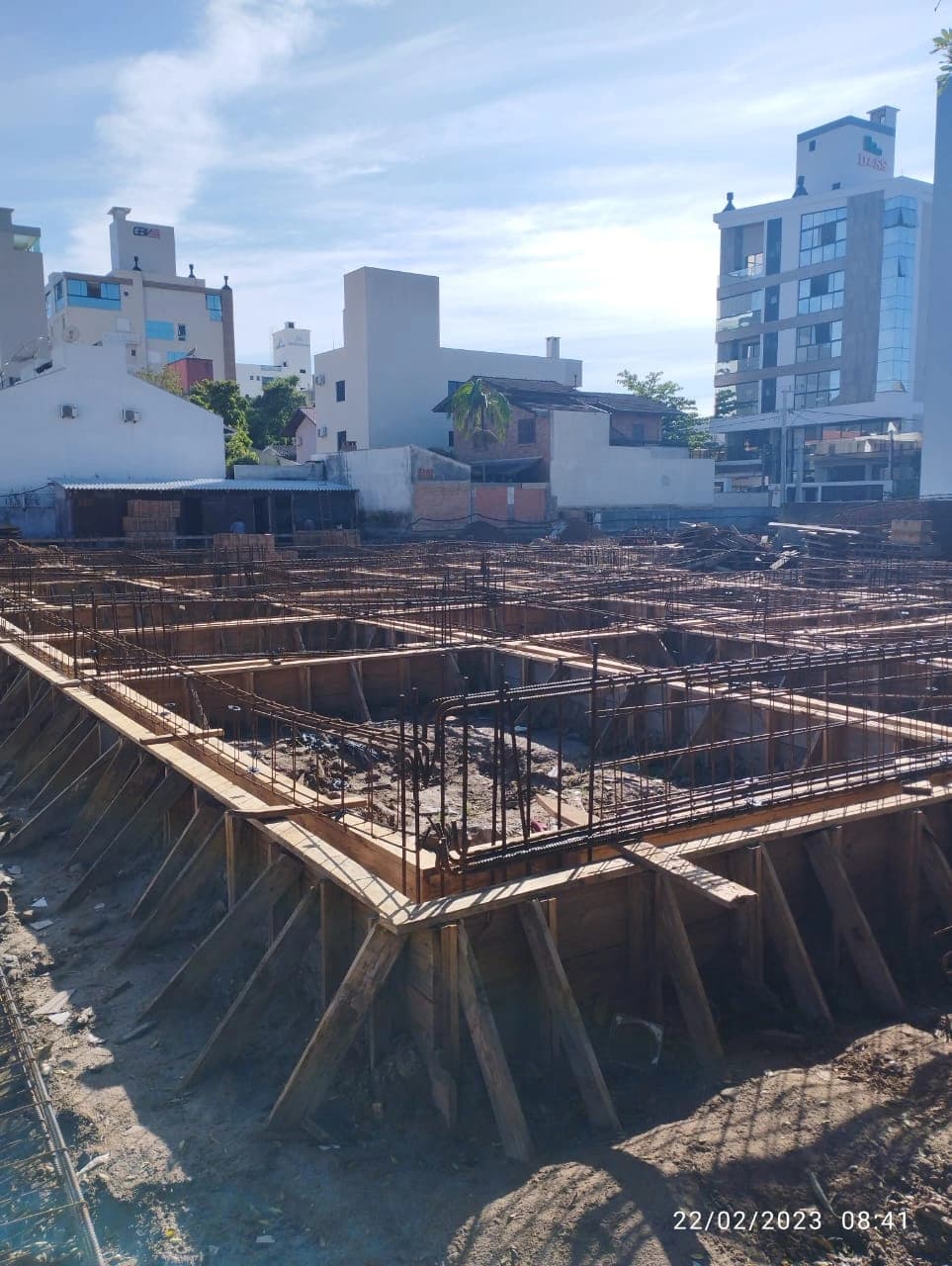 Gralha Azul Fevereiro/2023