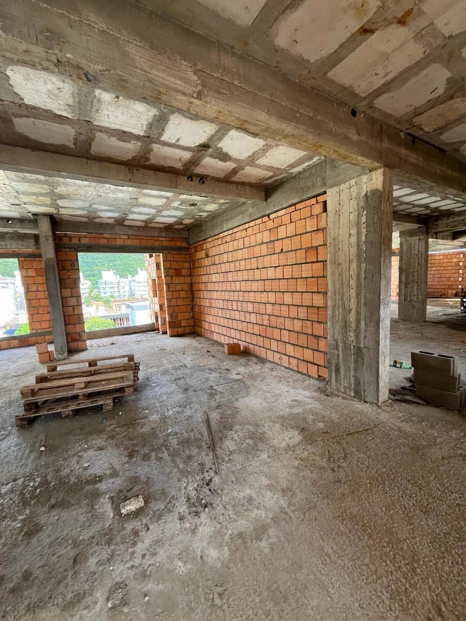 Gralha Azul Março/2024