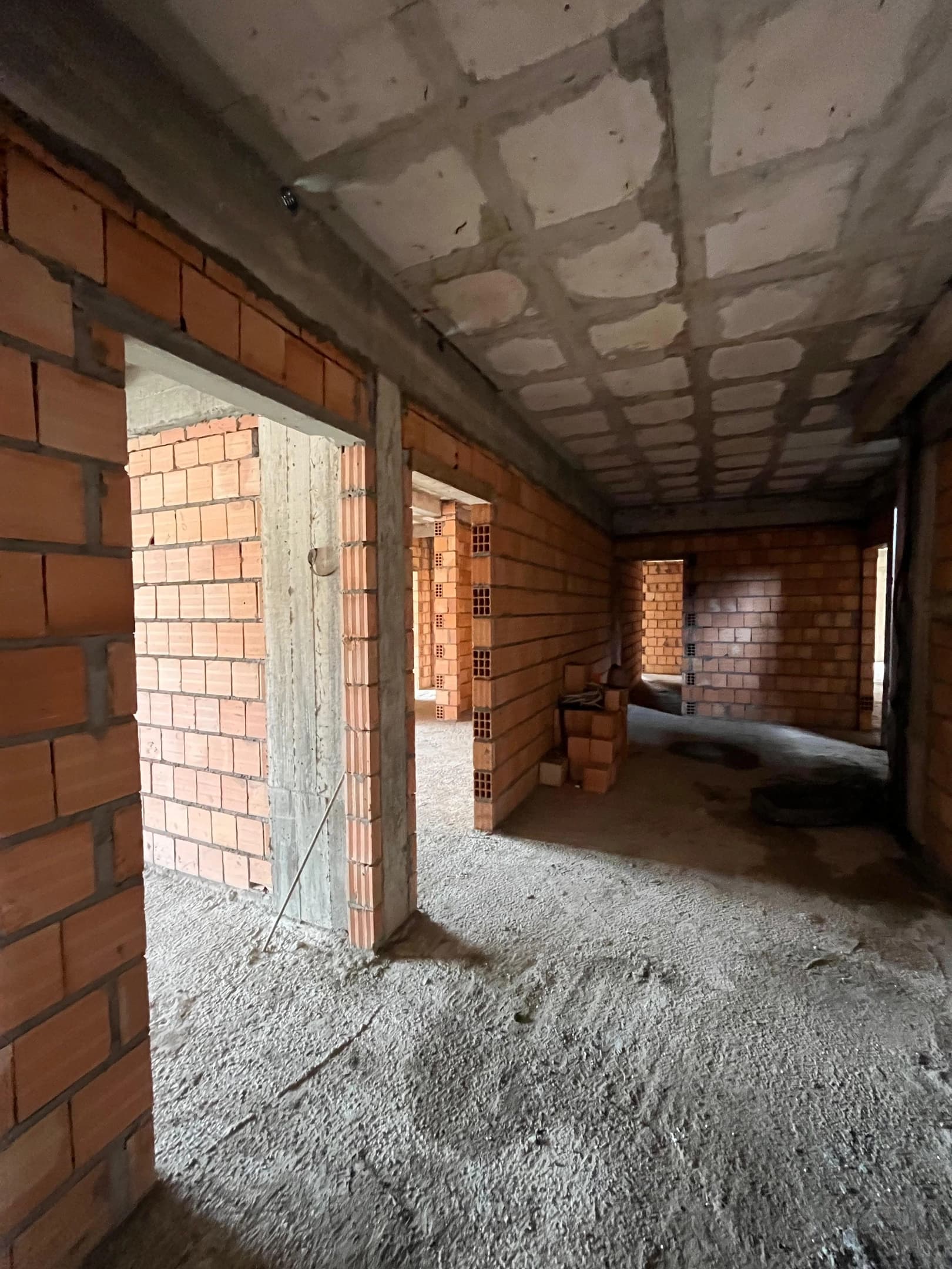 Gralha Azul Abril/2024